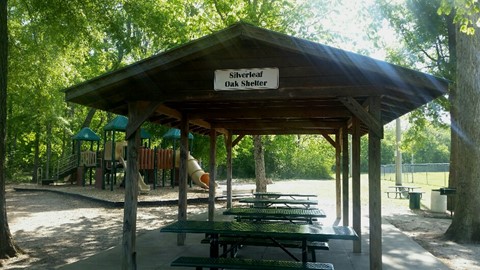 Silverleaf Oak Shelter