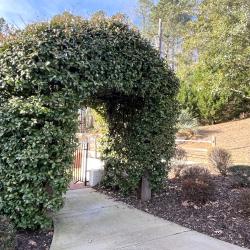 Meech House Arbor