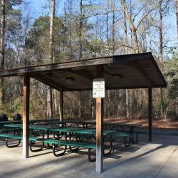 Dogwood Shelter