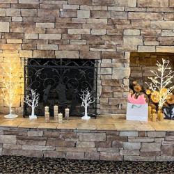 River Center Fireplace