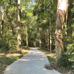 Saluda Shoals Riverwalk Trail