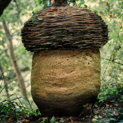 Acorn | Artist Susan Tondreau Dwyer 