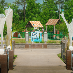 Joyful Play | Artist Greg Fitzpatrick