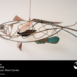 Steel Fish - Mike Williams