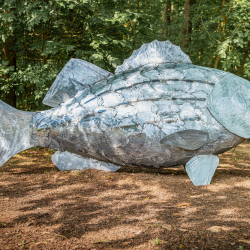 Striped Bass | Artist Bob Doster