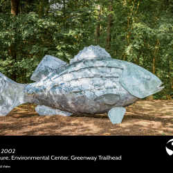 Striped Bass - Bob Doster