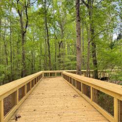 Saluda Shoals Riverwalk Boardwalk