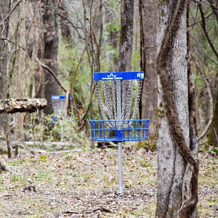 Disc Golf